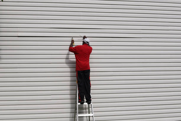 Professional Siding in Temperance, MI