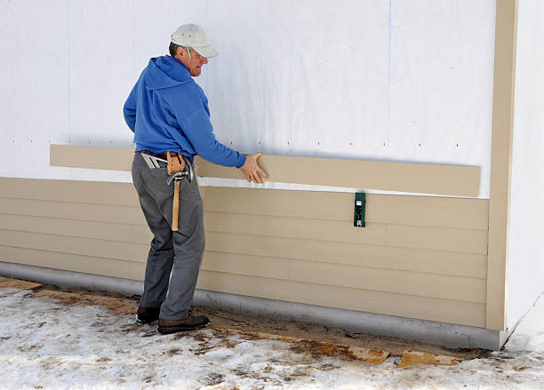 Affordable Siding Repair and Maintenance Services in Temperance, MI