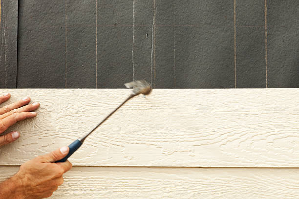 Best Fiber Cement Siding Installation  in Temperance, MI