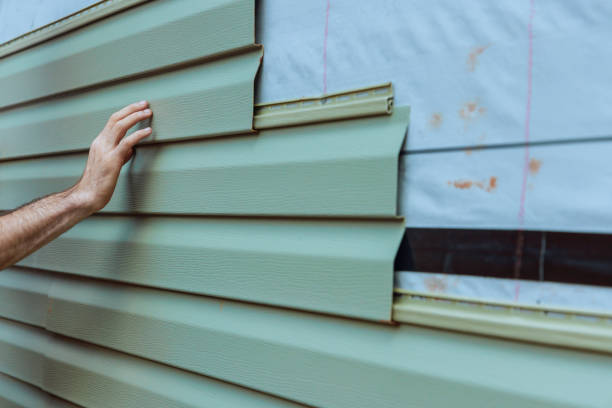 Best Siding Painting and Refinishing  in Temperance, MI